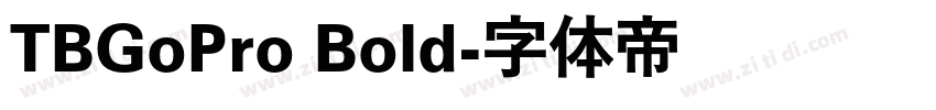 TBGoPro Bold字体转换